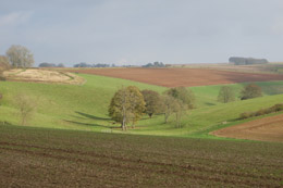Hotels in the Cotswolds