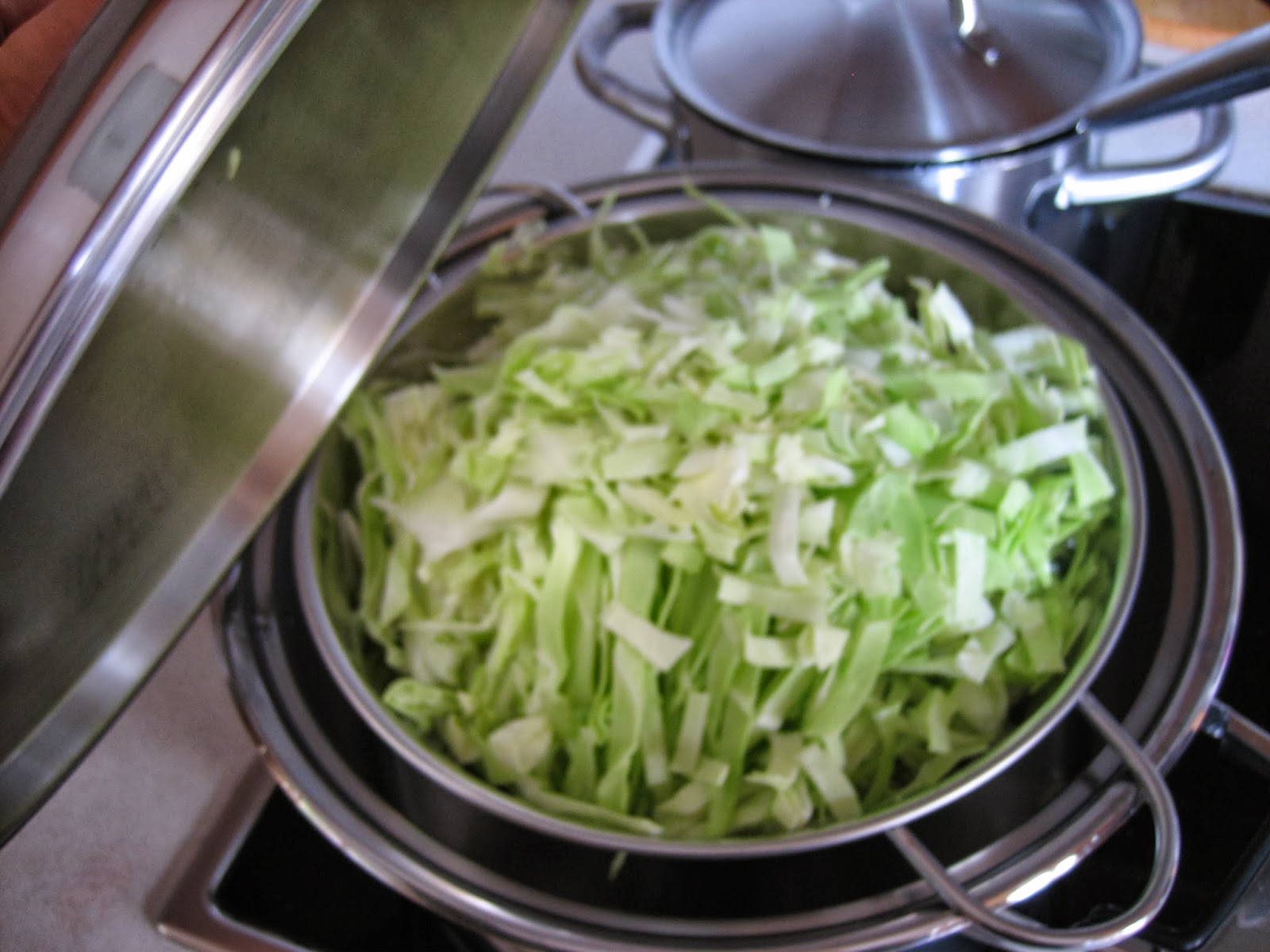 vegetarisch.alltagstauglich.gut: Spitzkohl-Salat mit Zitronenmarinade