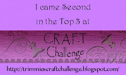 C.R.A.F.T Challenge top 3