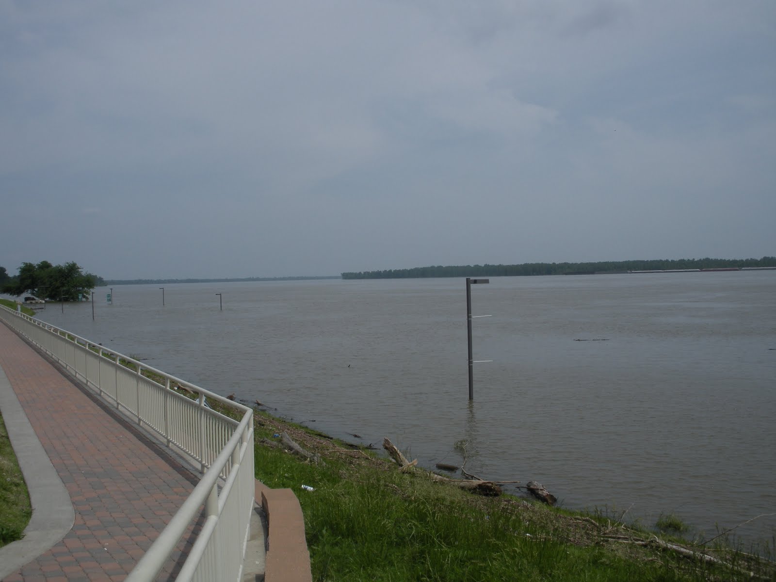 New Madrid spared from flooding KRCU News