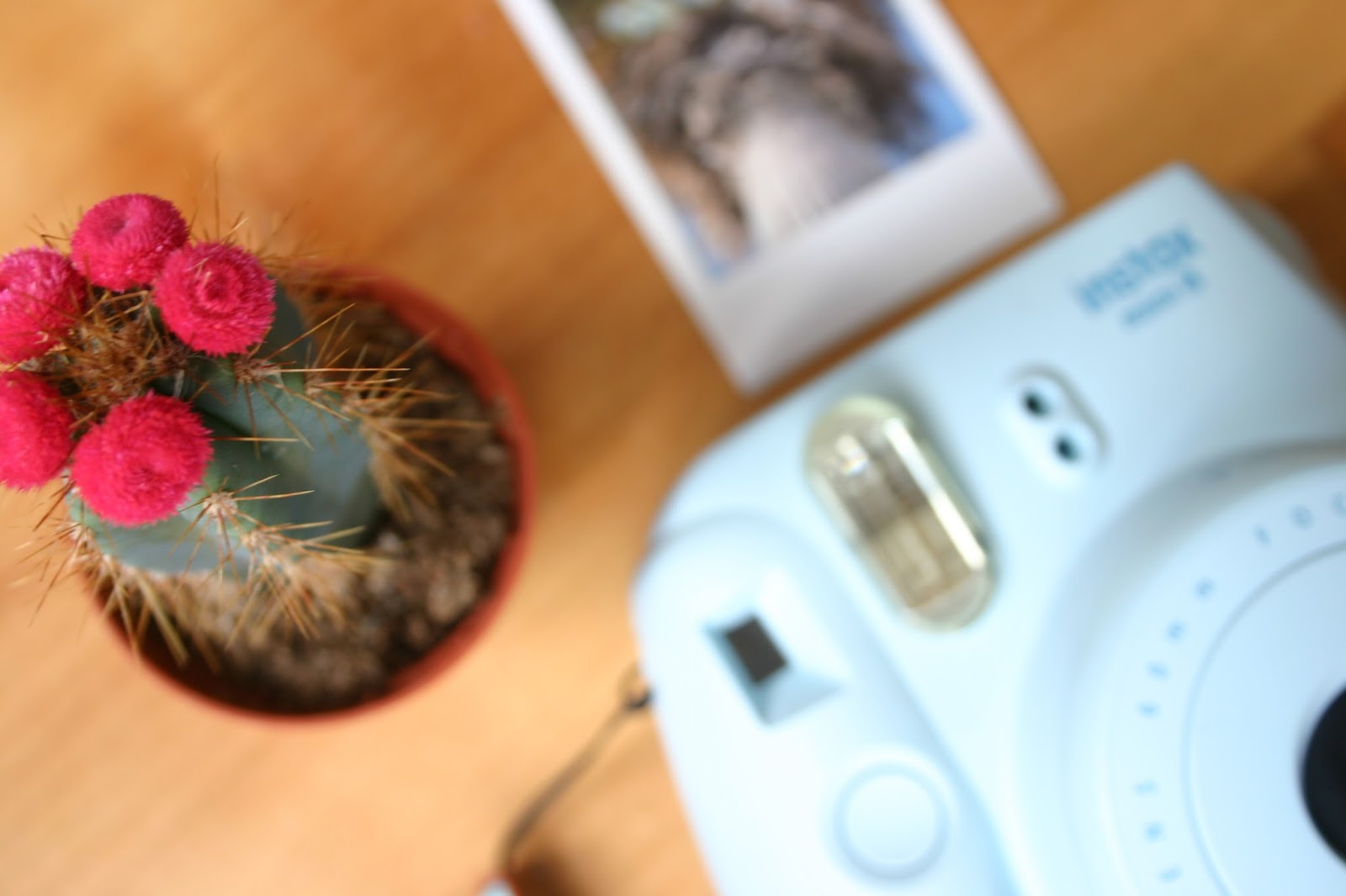 Elephantastic: Fujifilm Instax mini 8 | Tips & tricks