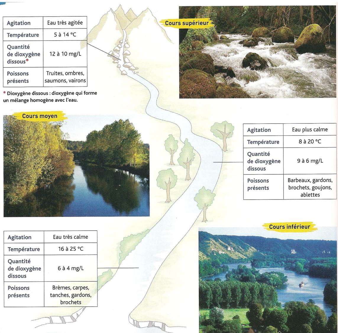évaluation 5ème Svt Respiration Et Occupation Des Milieux De Vie