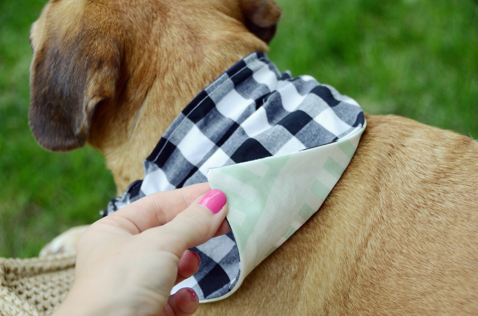 Easy DIY Reversible Dog Bandana Sewing Pattern Design Fixation