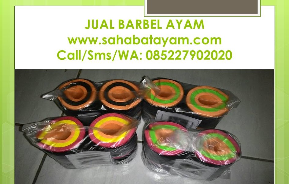 Grosir Barbel Ayam, Suplayer Barbel Ayam, Agen Barbel Ayam, Distributor