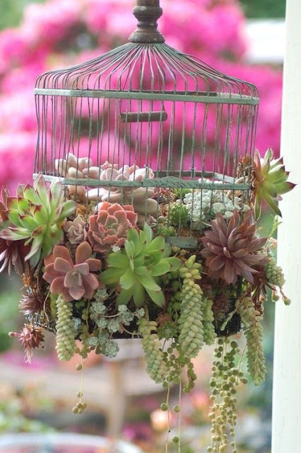 garden ideas pinterest