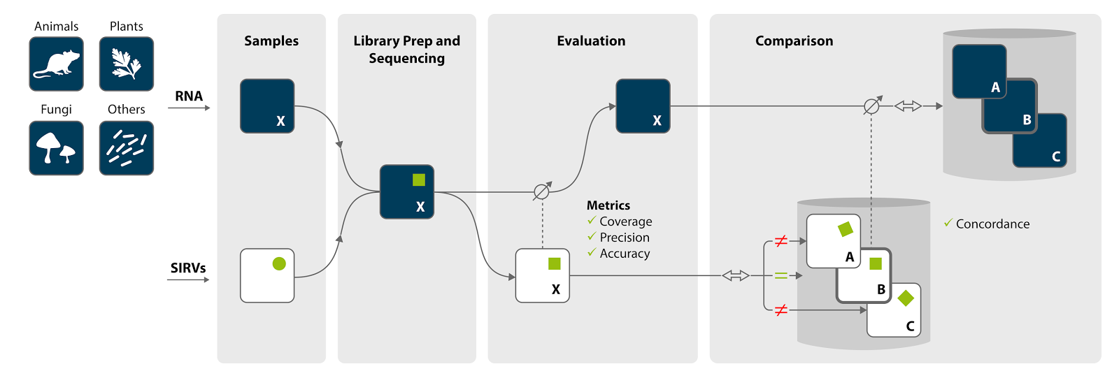rnaseq workflow sirvs rna seq controls from lexogen enseqlopedia rnaseq workflow sirvs rna seq controls from lexogen enseqlopedia