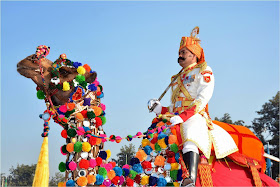 Colour and pageant of the camels and camel riders: BSF Camel Contingent