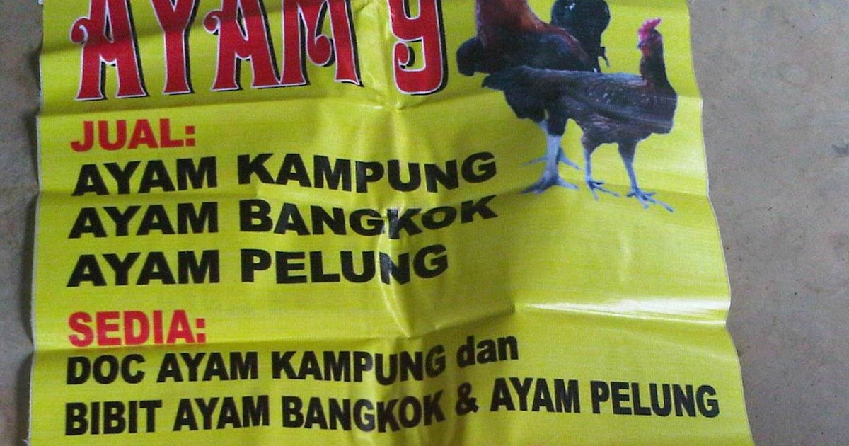 Contoh Spanduk Jual Pakan Ayam kumpulan contoh spanduk