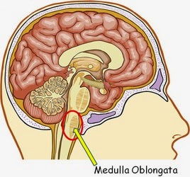 paralisia pseudobulbar sintomas de diabetes paralisia pseudobulbar sintomas de diabetes