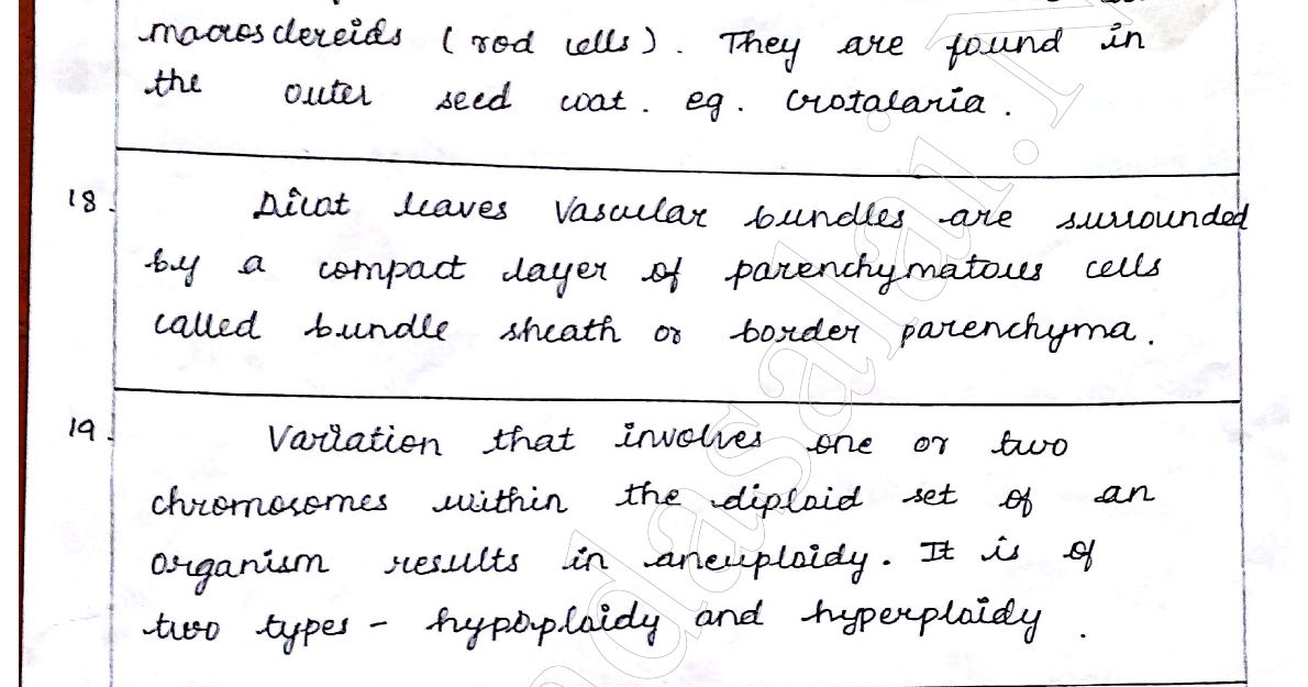 Real essays with readings 6th edition answer key picture