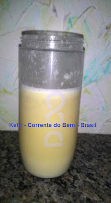 YAKULT VEGETAL COM KEFIR DE ÁGUA