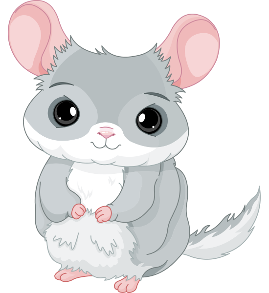 Cuddly Chinchilla | Symbols & Emoticons