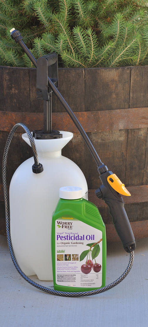 High Desert Gardener It's About Time for Dormant Oil Spray
