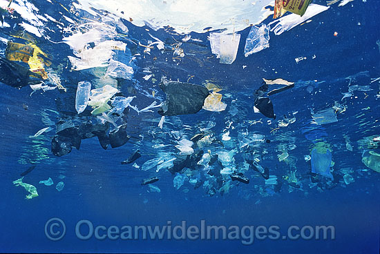215 - Meer und Müll - Marine Garbage: März 2012