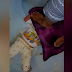 (Video) Kejam! Tekap Bantal & Pijak Kepala Anak Sendiri