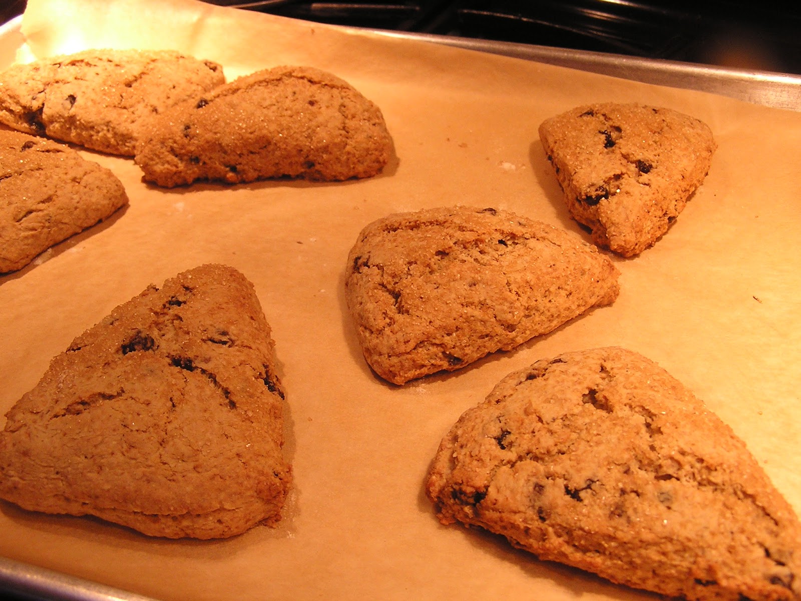 The Clean Green Homestead Scones, Suet & Frugal