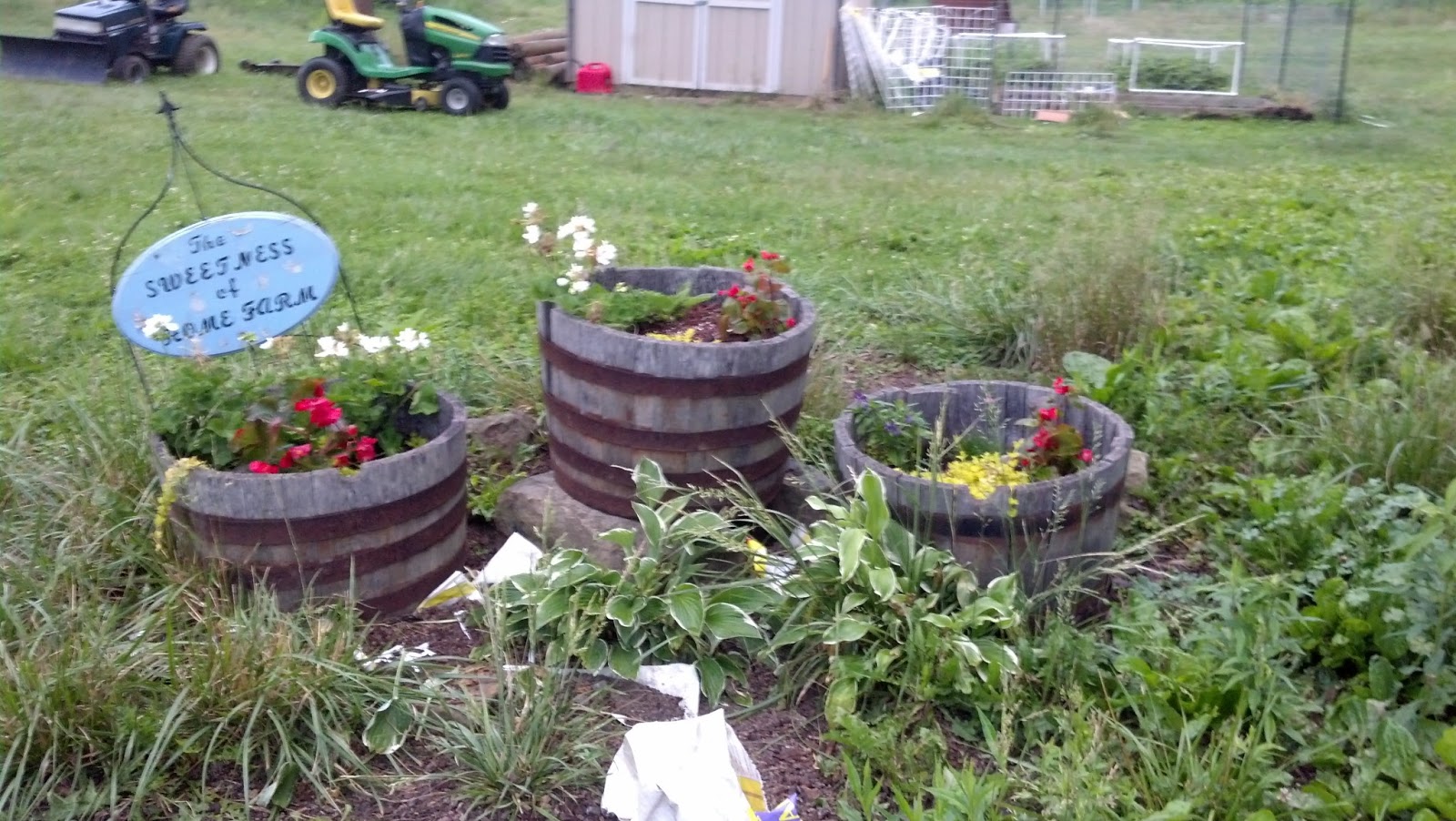 The Sweetness of Home How Does Your Flower Garden Grow?