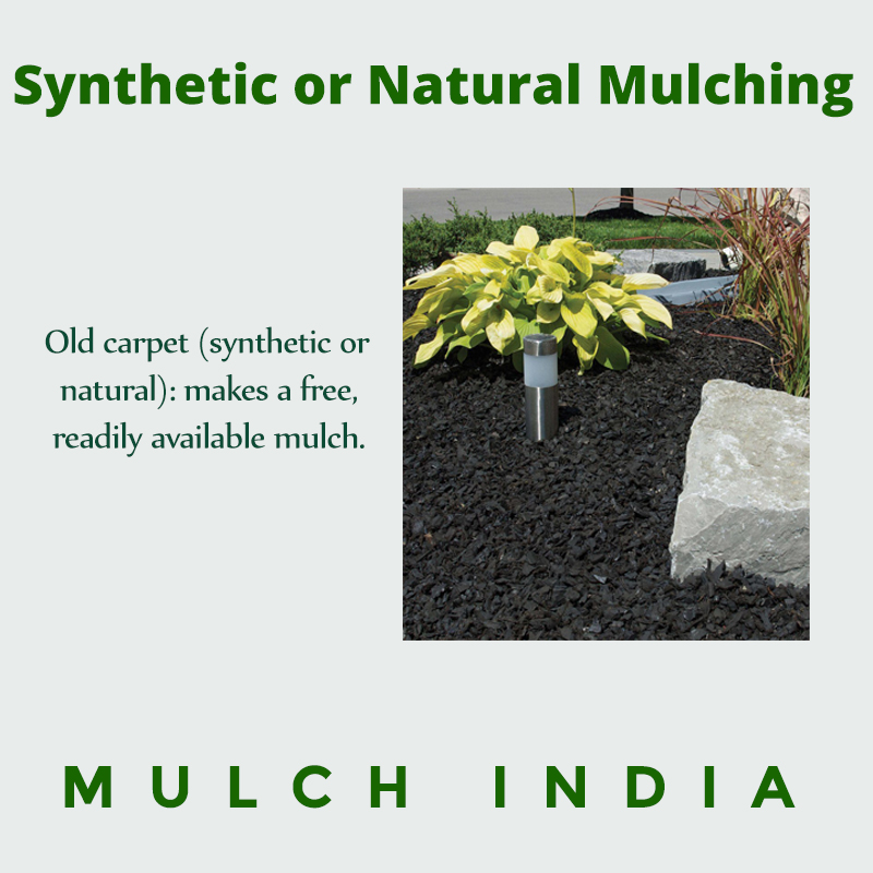 MulchIndia Old carpet (synthetic or natural) makes a free, readily