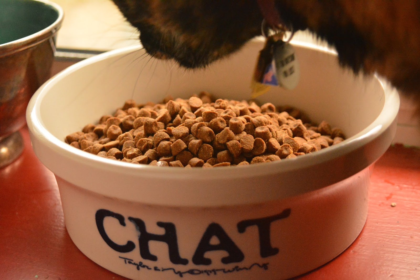 The Dog Geek Caturday Night Wailing, Dry vs Wet Food, and Tiki Cat Kibble