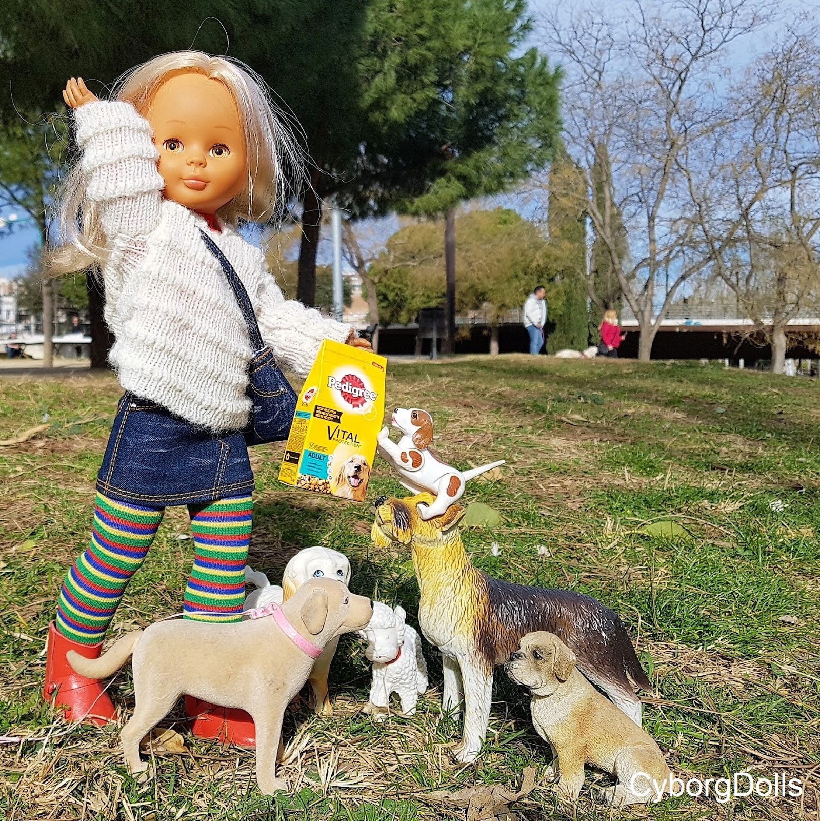 Dog Walker Job Description Dog Walker Job Description