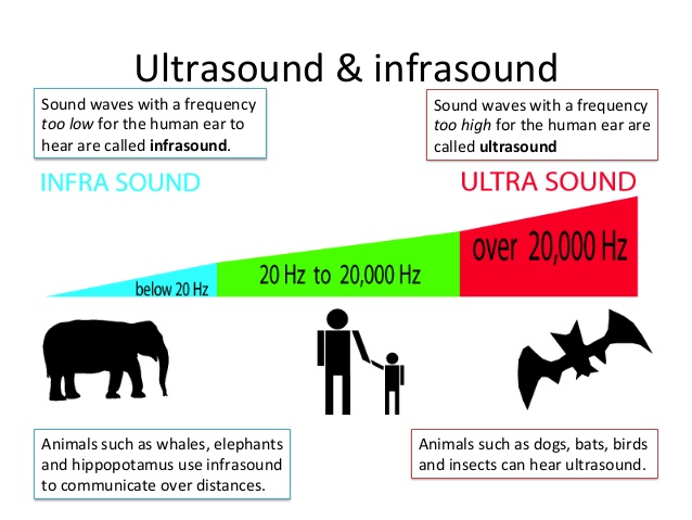 What Are The Applications Of The Ultrasonic Sound And Infrasonic Sounds