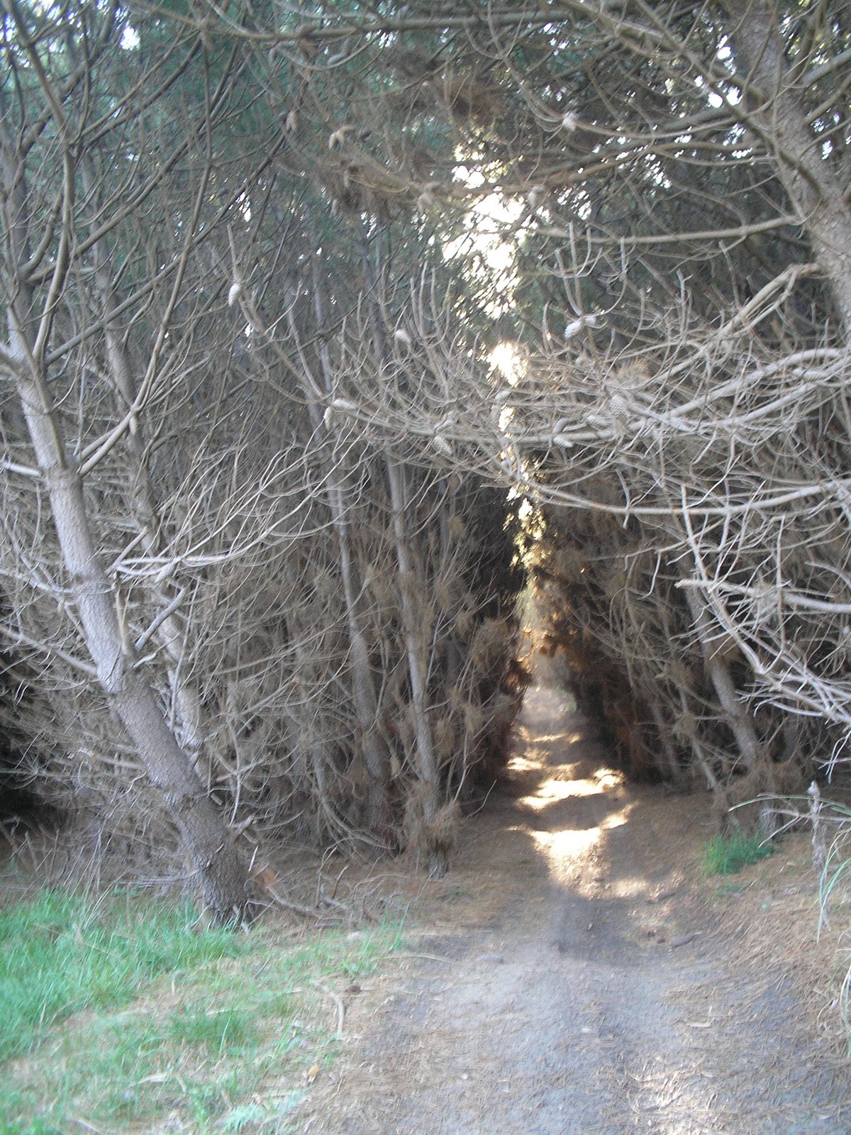 Boleto para pasear Miramar