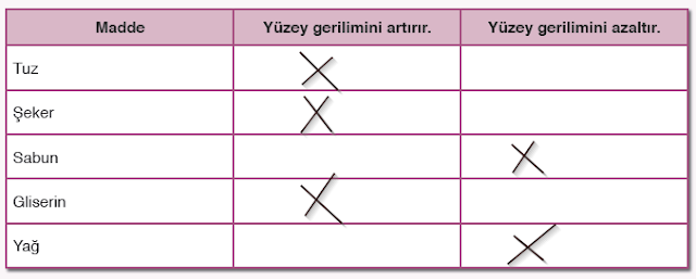 9. Sınıf Tutku Yayınları Fizik 80. Sayfa Cevapları