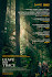 Leave No Trace Poster