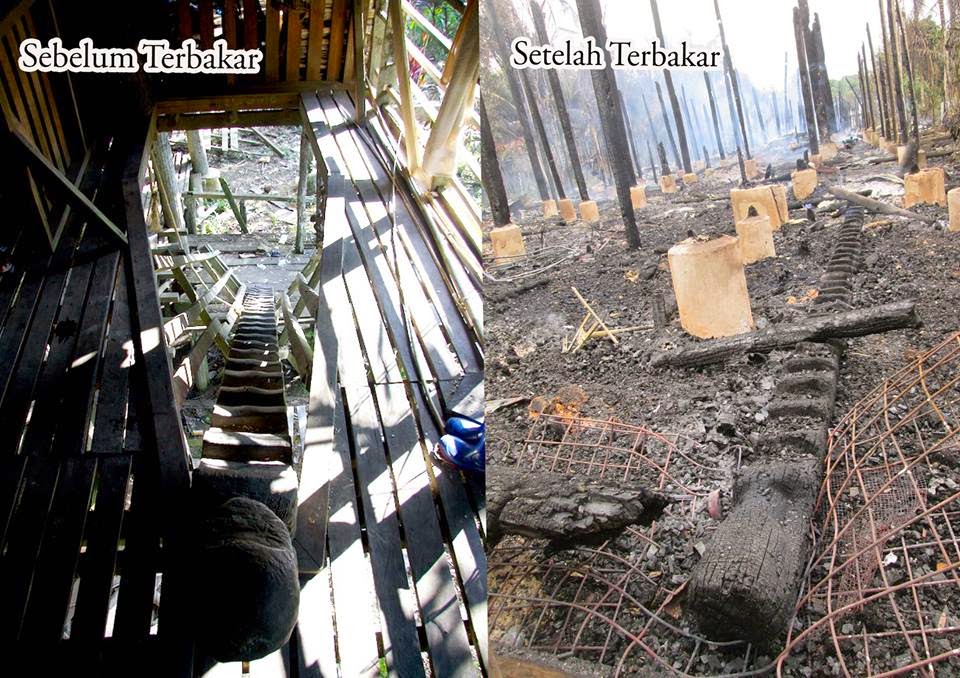  Rumah  Betang  Uluk  Palin  Terbakar BorneoScape