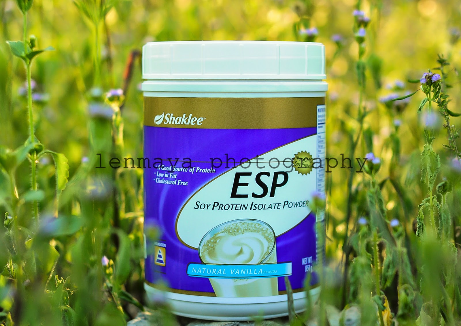 sumber protein untuk kurus sumber protein untuk kurus