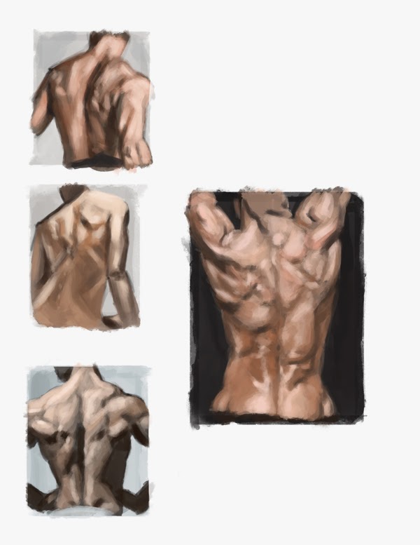 [Image: anatomy-backs+copy.jpg]