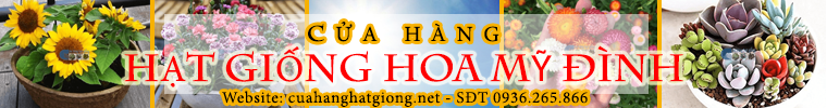 Cửa hàng bán hạt giống hoa chất lượng Mỹ Đình"