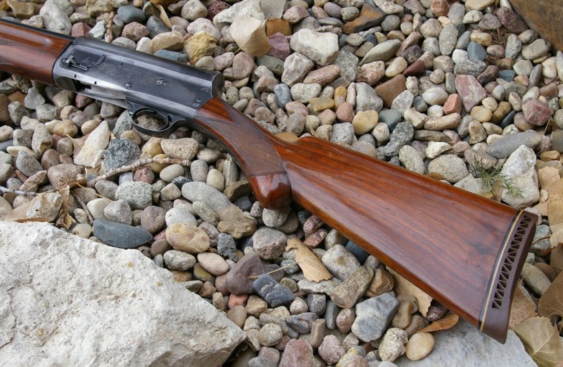 The Browning A5 12 Gauge Resurrecting a Legend Part 1