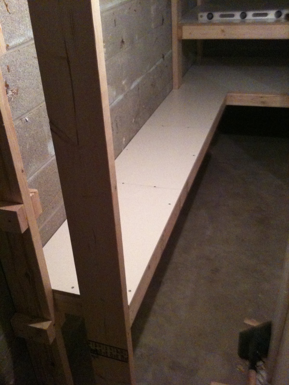 Do It Yourself Builds How to Build Storage Shelves (In a Cold Room)