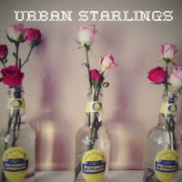 Urban Starlings
