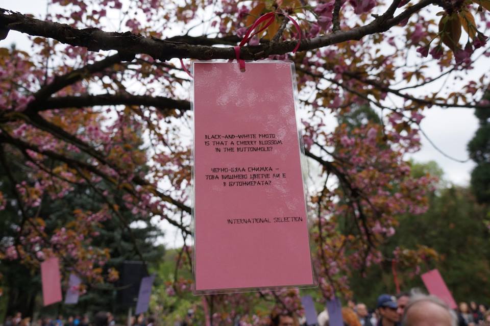 Cherry Blossom 2nd Haiku Contest Sofia, Bulgaria