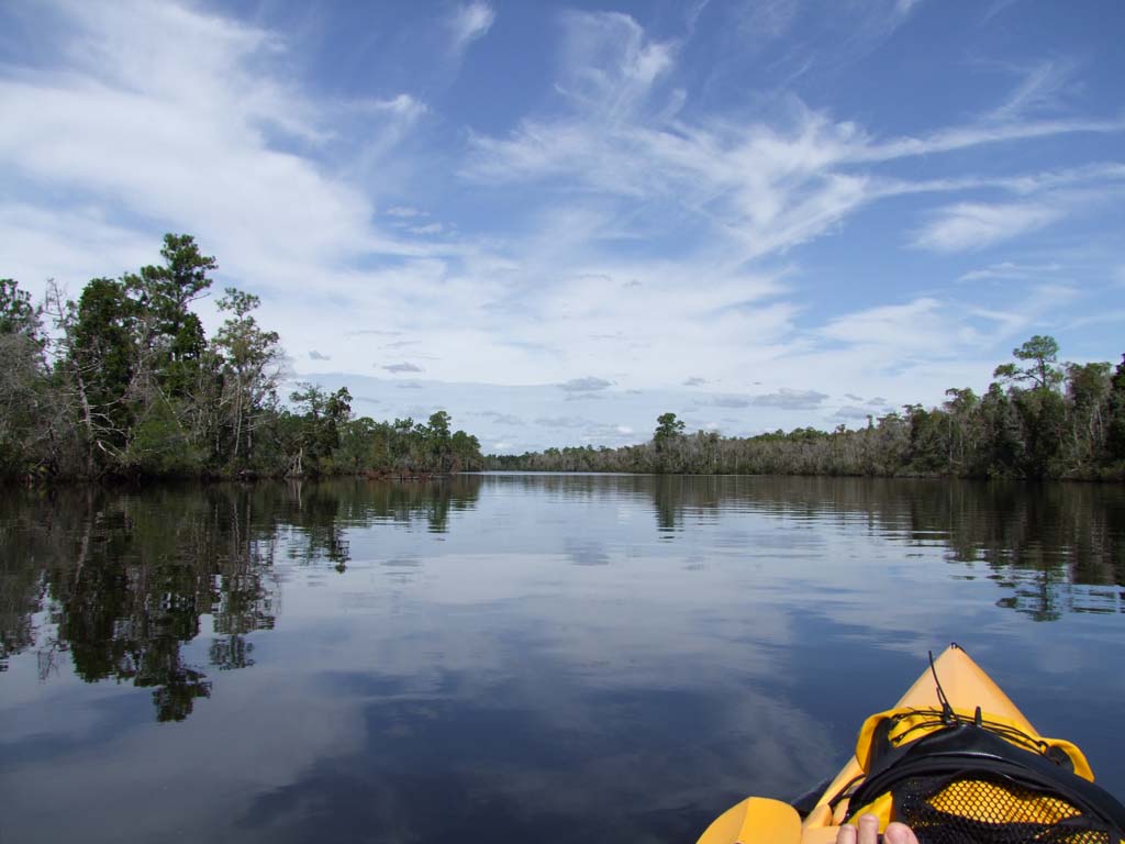 Kayaking the MobileTensaw River Delta 10/10/2009 Lower Escatawpa River