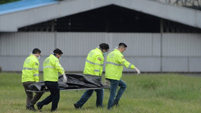 Two Stowaways Die After Falling Off NY-Bound Plane