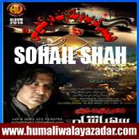http://ishqehaider.blogspot.com/2013/11/sohail-shah-nohay-2014.html