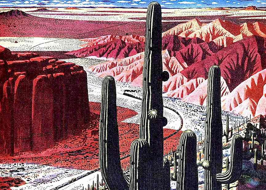 desert train desert train color illustration