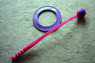 A pink ball lobber and a purple frisbee