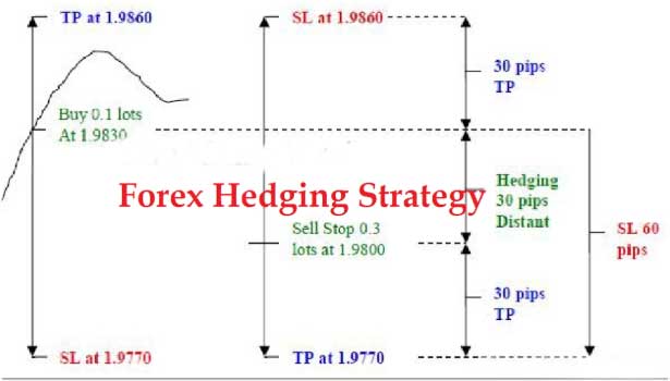 What Is Hedge And Hedging Strategies Blockchainvscrypto Get - 