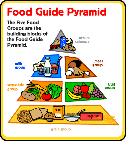 Five Basic Food Groups Chart