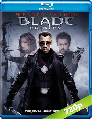 Blade III 2004 Unrated Dual Audio BRRip 480p 400Mb x264