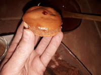 EL FOGÓN DE LA COMARCA