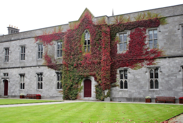 Galway university