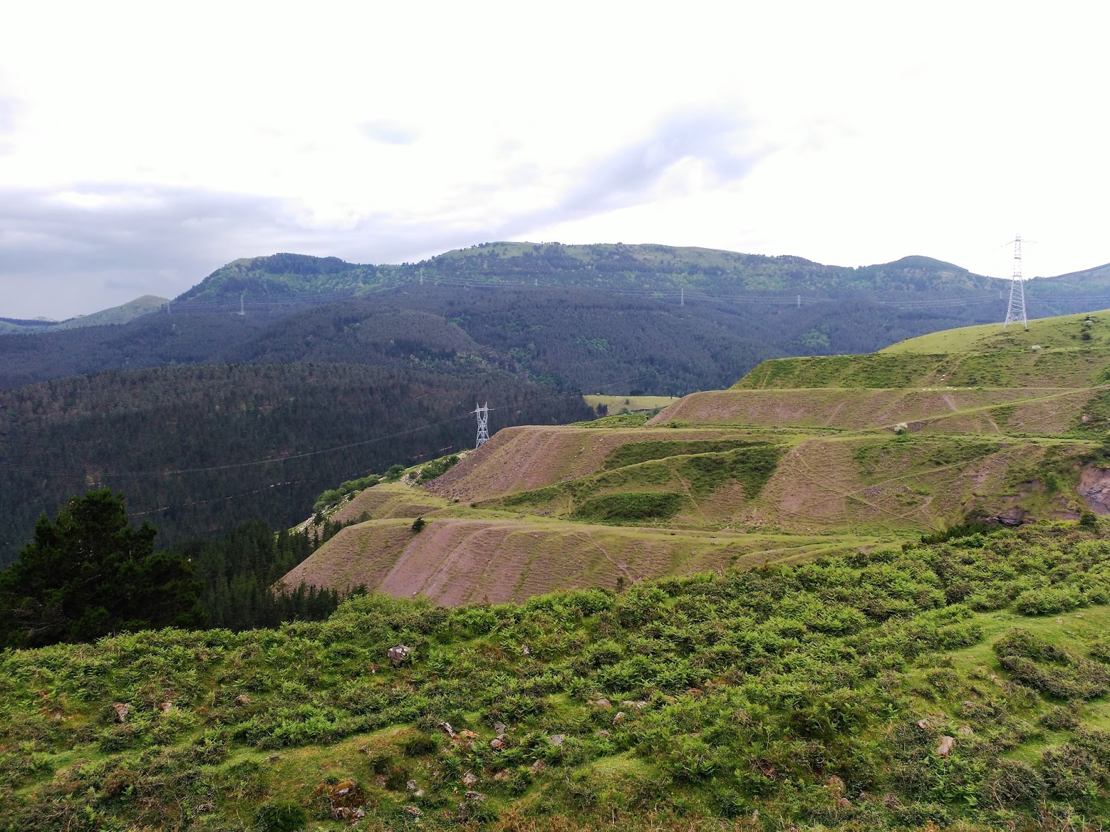 MineralesDB Ruta por la Arboleda 2
