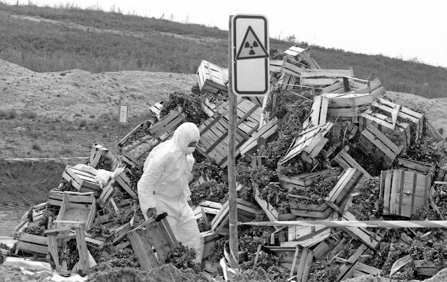 What happened during the Chernobyl Disaster?