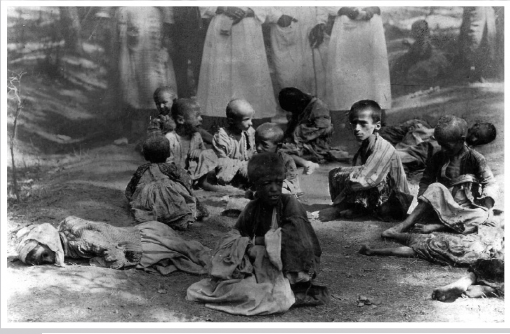 Essays about the armenian genocide