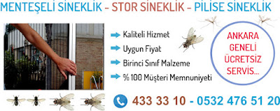 Resim